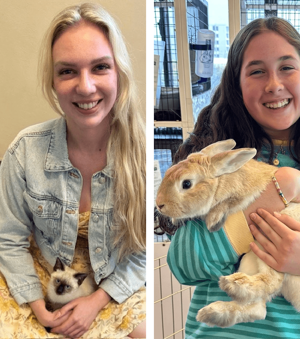 Split view of a woman with a small cat in her lap and a girl holding a large rabbit.