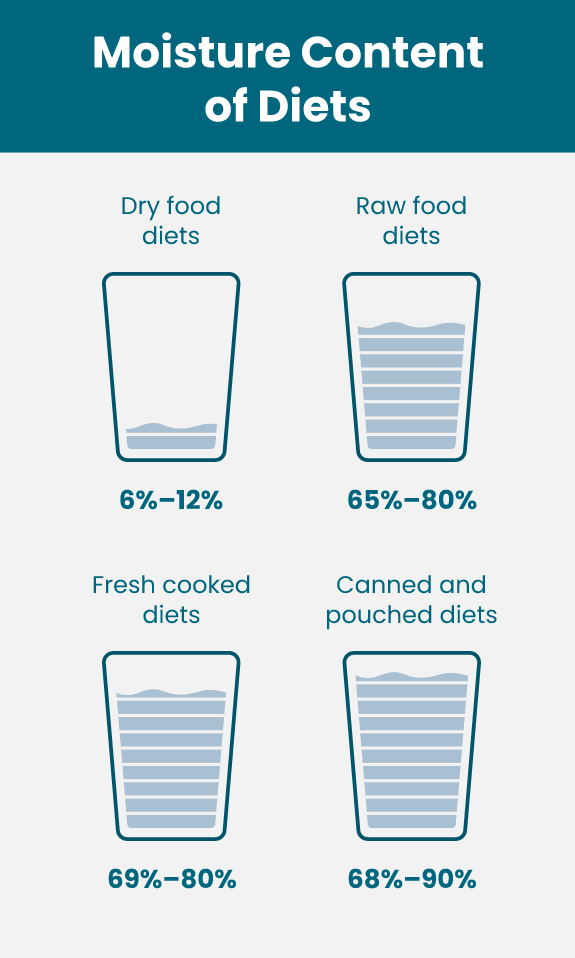 https://cdn11.bigcommerce.com/s-iakwzr7rs7/product_images/uploaded_images/moisture-content-of-diets-chart-m.png