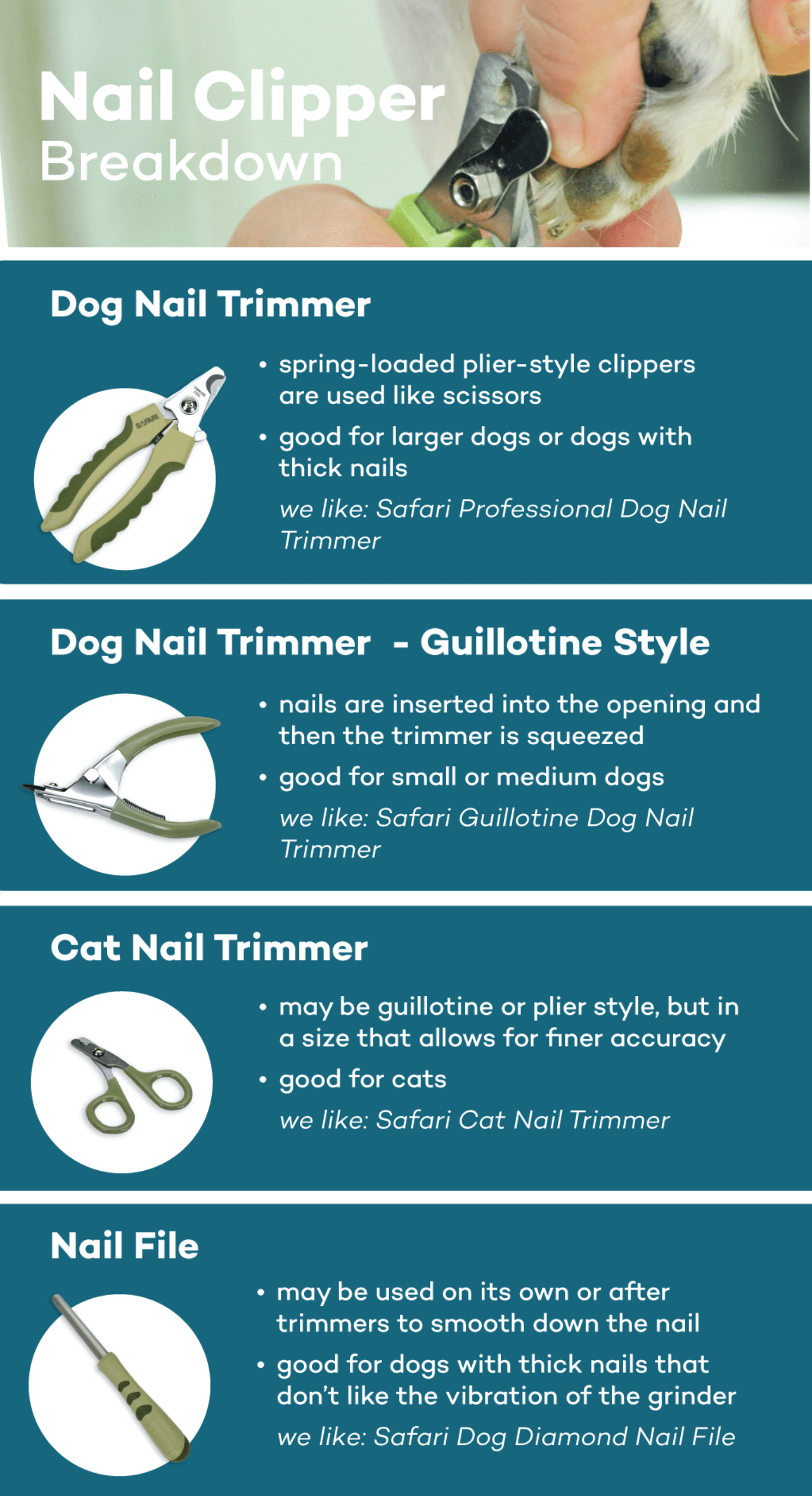Canine Nail Care: Essential Tips for Healthy, Happy Paws