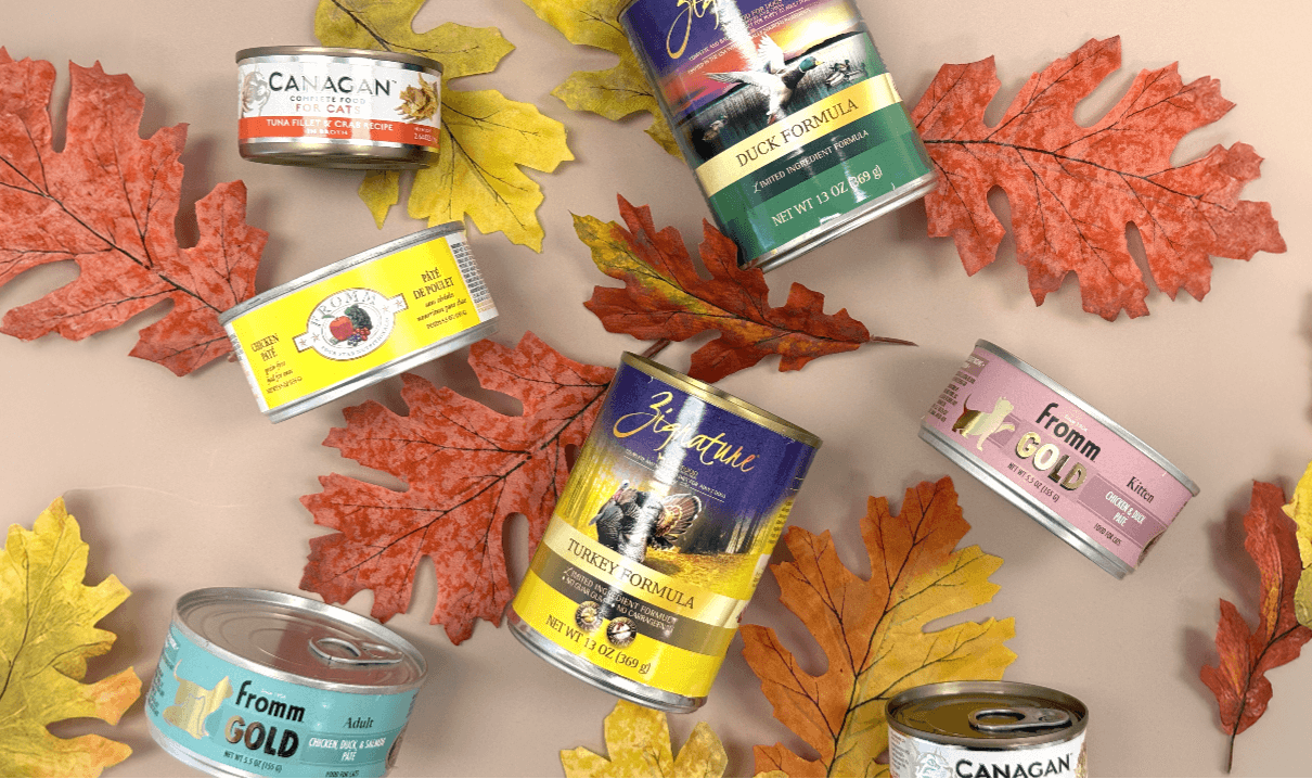 A variety of canned foods among an arrangement of Autumn leaves