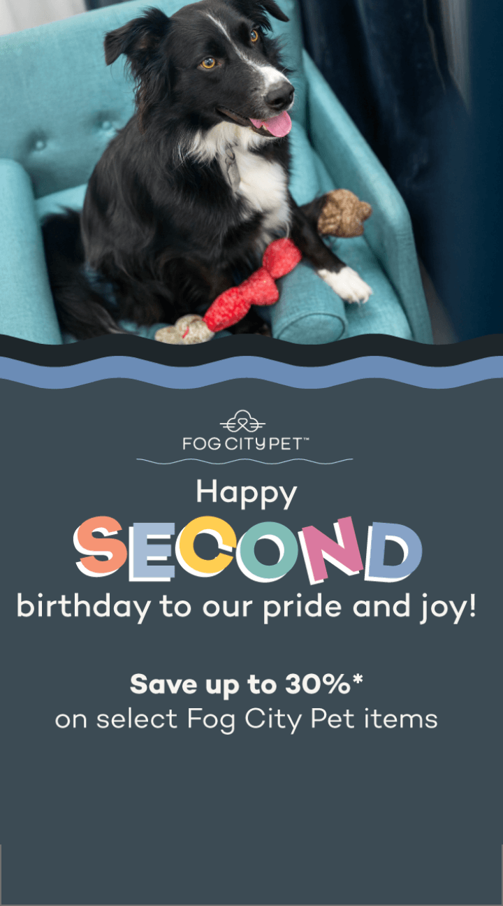Fog City Pet; Happy Second birthday to our pride and joy! Save up to 30% on select Fog City Pet items. Click to learn more.