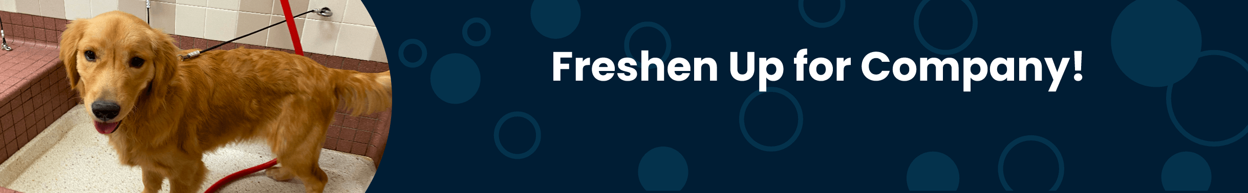 Freshen up for Company! Shop Now