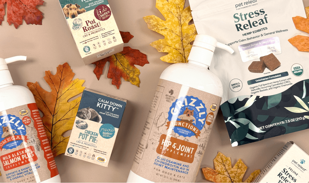 A variety of supplement products among an arrangement of Autumn leaves