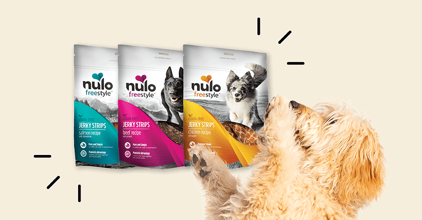 dog with nulo treats