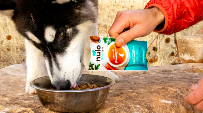 Dog eats kibble as owner pours over Nulo topper