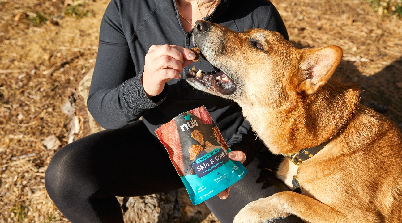 Dog eats kibble as owner pours over Nulo topper