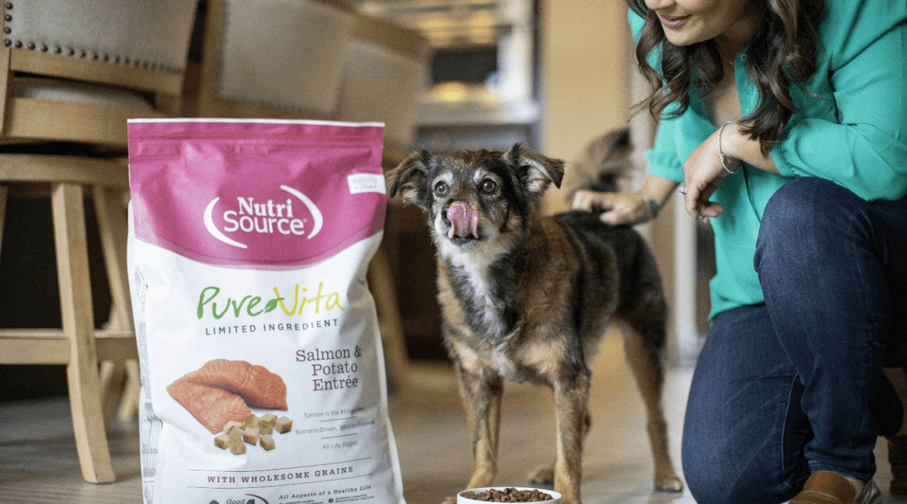 Dog posing with NutriSource purevita salmon and potato entree.