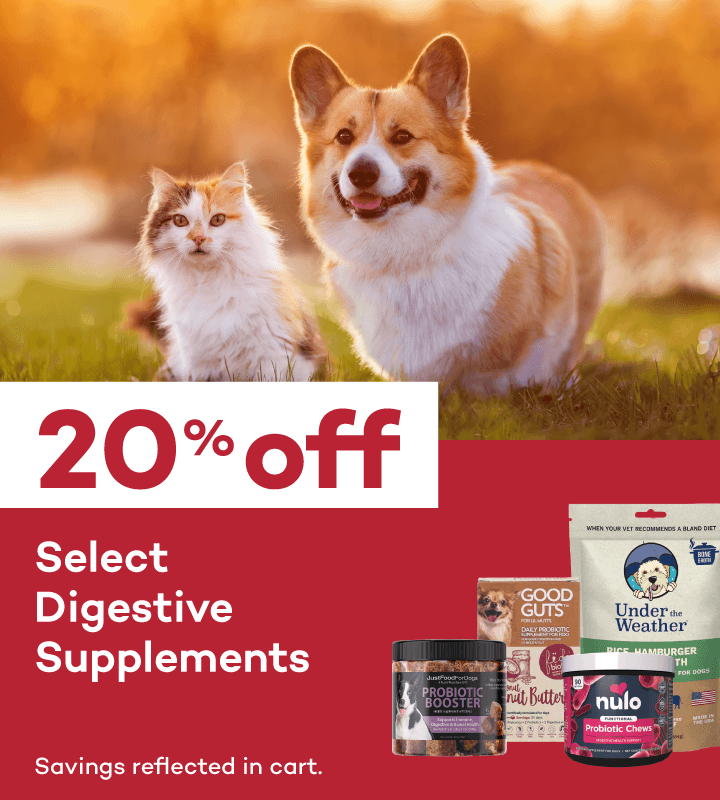 20% Off Select Digestive Supplements. Savings reflected in cart.