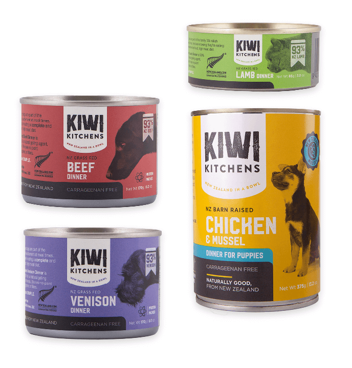 Assortment of kiwi food toppers