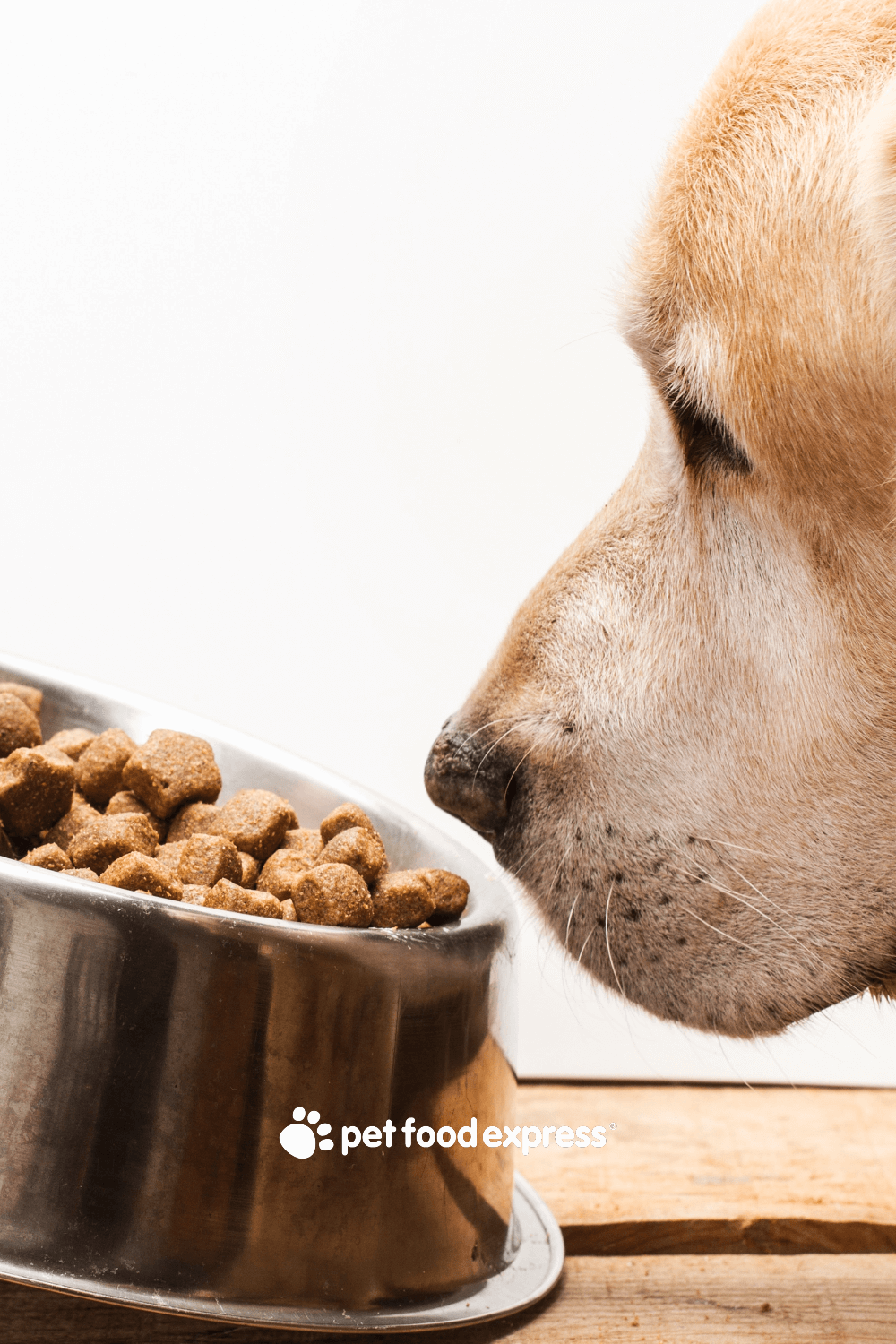 Eight Surprising Facts About Pet Kibble