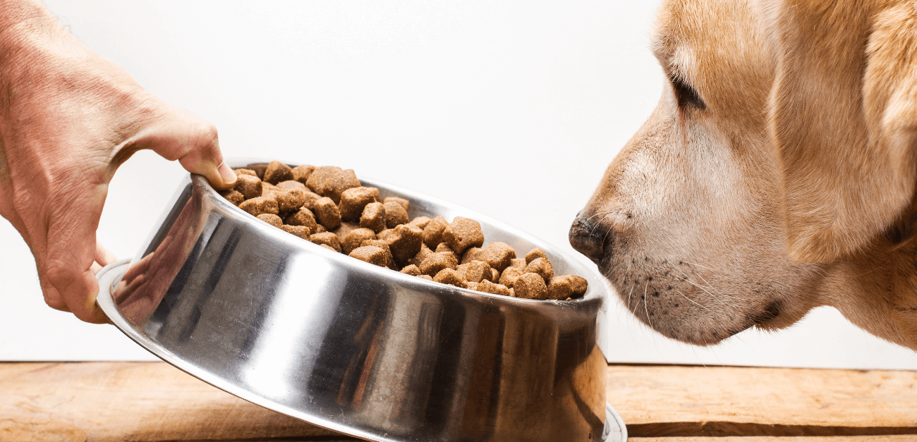 https://cdn11.bigcommerce.com/s-iakwzr7rs7/product_images/uploaded_images/owner-giving-bowl-of-kibble-to-dog-1300x629.png