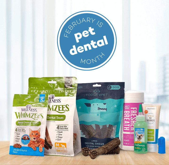 Text reading 'February is pet dental month!' alongside an array of pet dental products