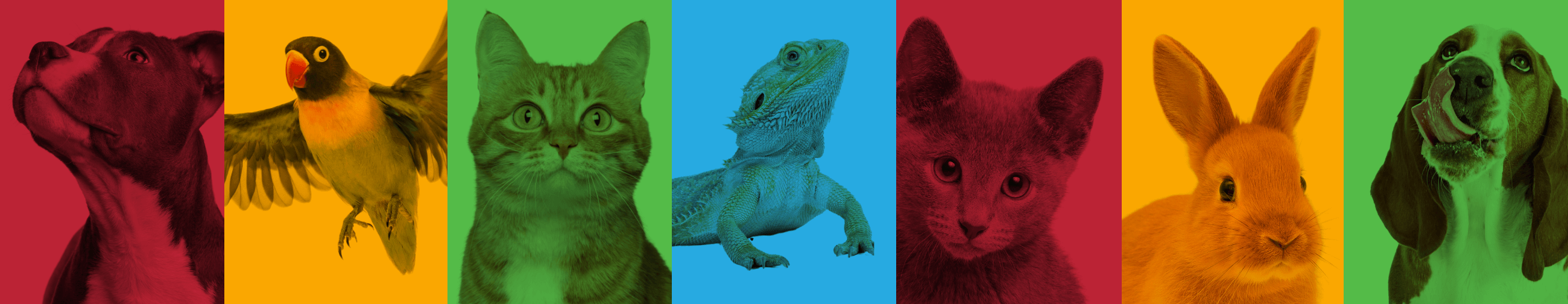 Various animals with a multi colored overlay