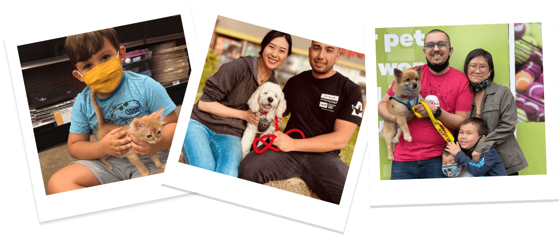 Pet Fair kissing booth