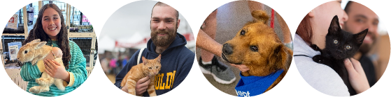 Petfair Support Images
