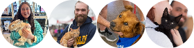 Petfair 2026 logo