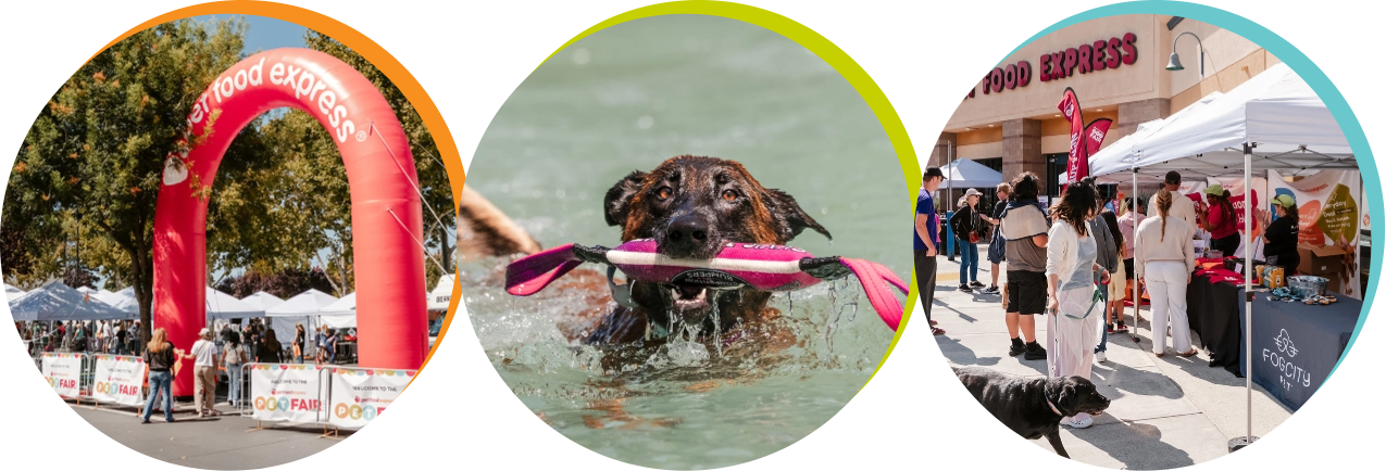 PetFair Logo