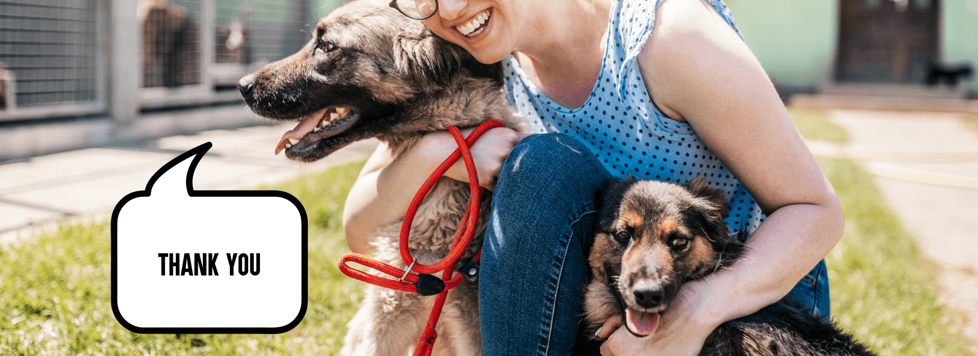 Person holding two dogs