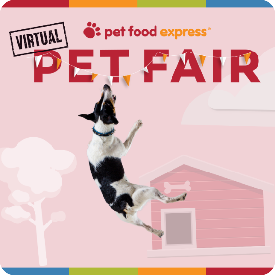 Original virtual pet fair logo featuring a jumping dog