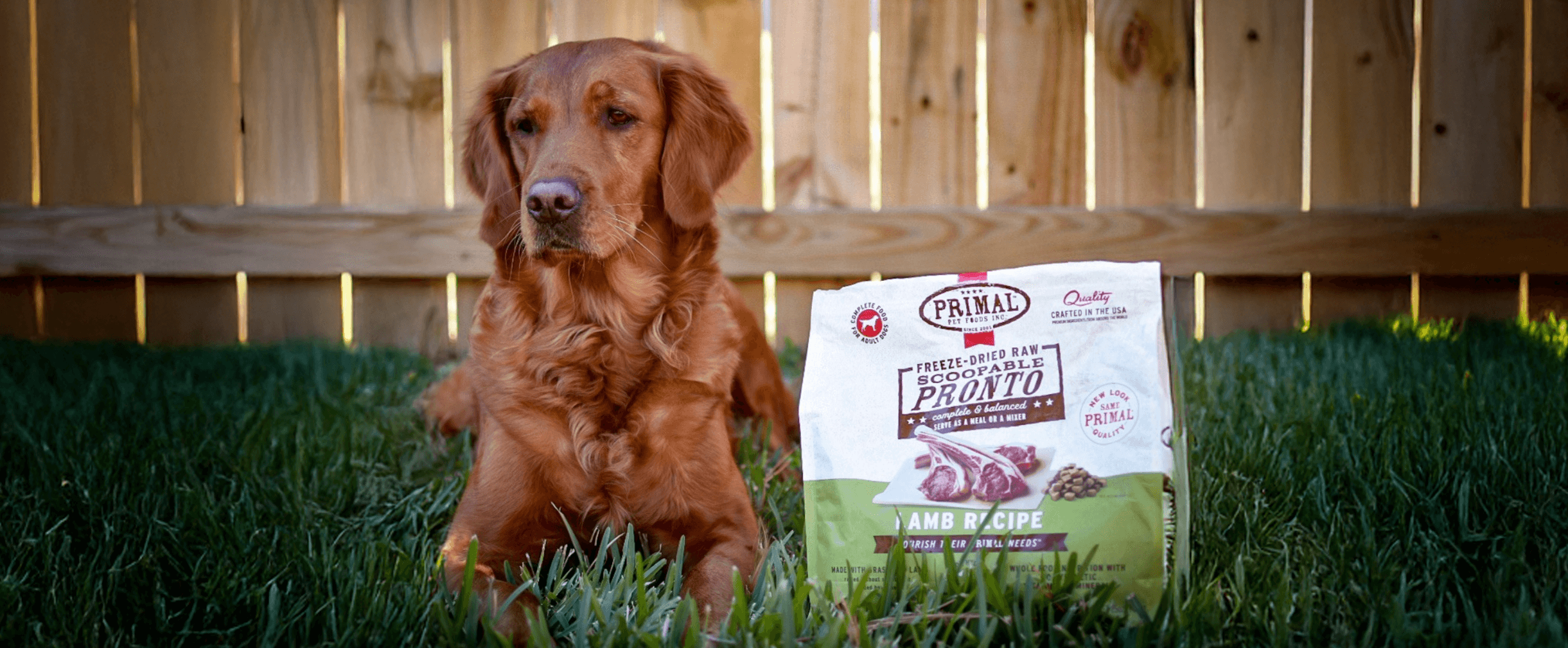 Primal Bone broth with ingredients