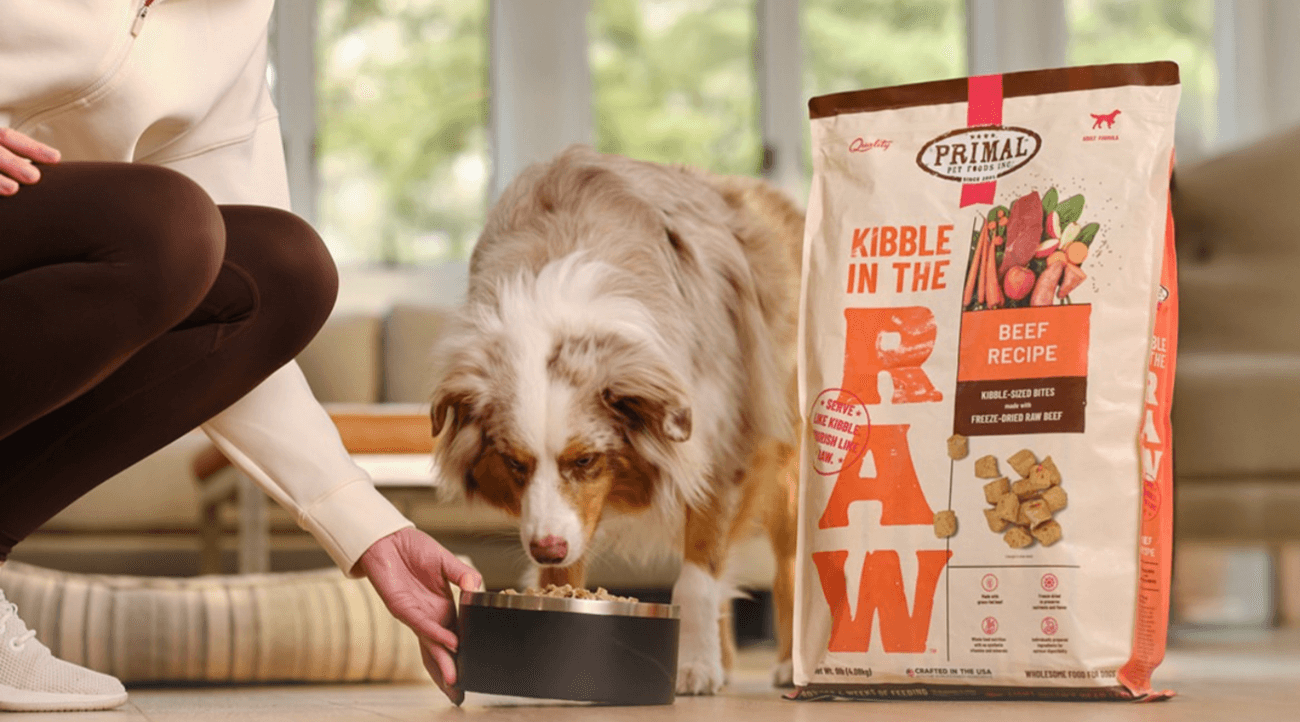 Dog eating Primal Raw Toppers dog food