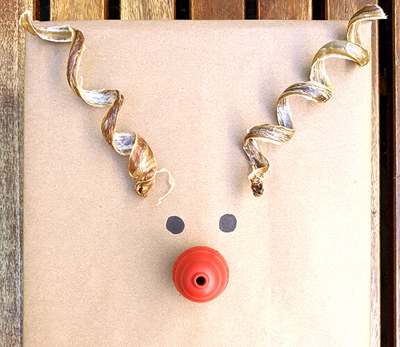 gift ideas