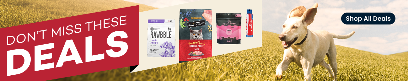 An assortment of popular pet products with text 'Pet Parent Hot Picks. Click to see 'Don't miss these deals'.