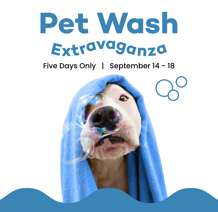 Pet Wash Extravaganza September 14-18.