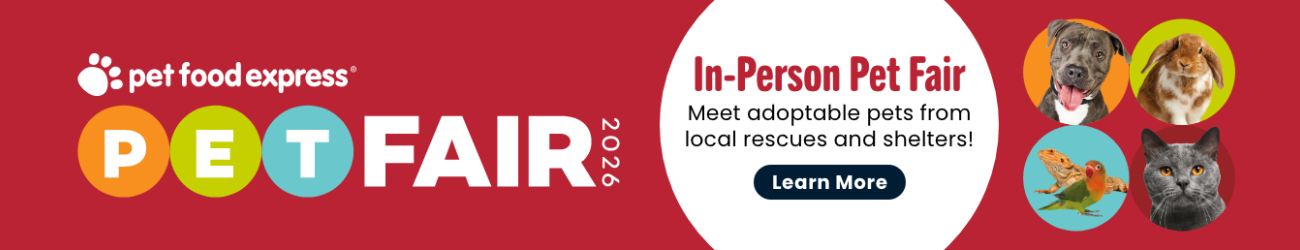 In Person Petfair for September 2026