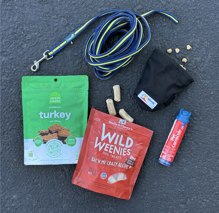 Assortment of items to help train and treats.