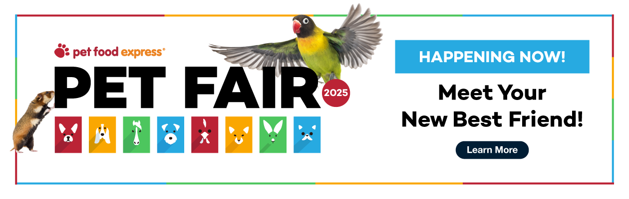 Pet Fair coming soon!