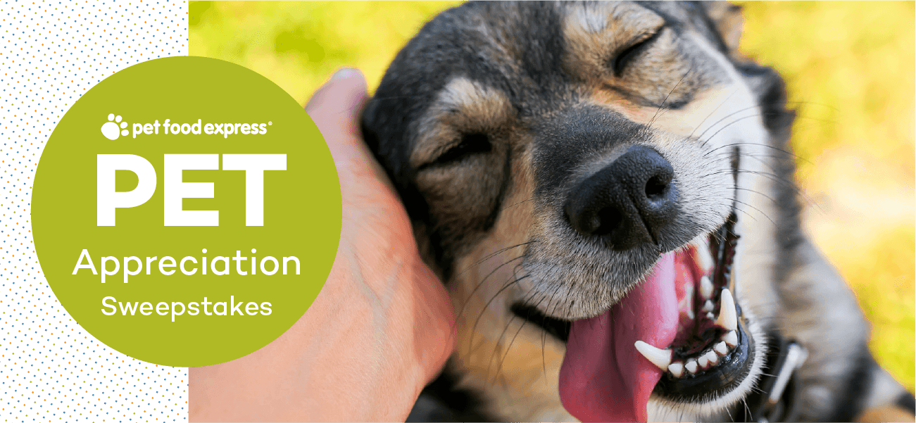 Pet Appreciation Sweepstakes