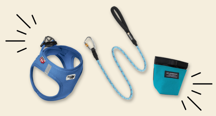 spring walk items