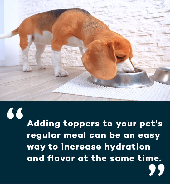 Canine Toppers & Hydrators