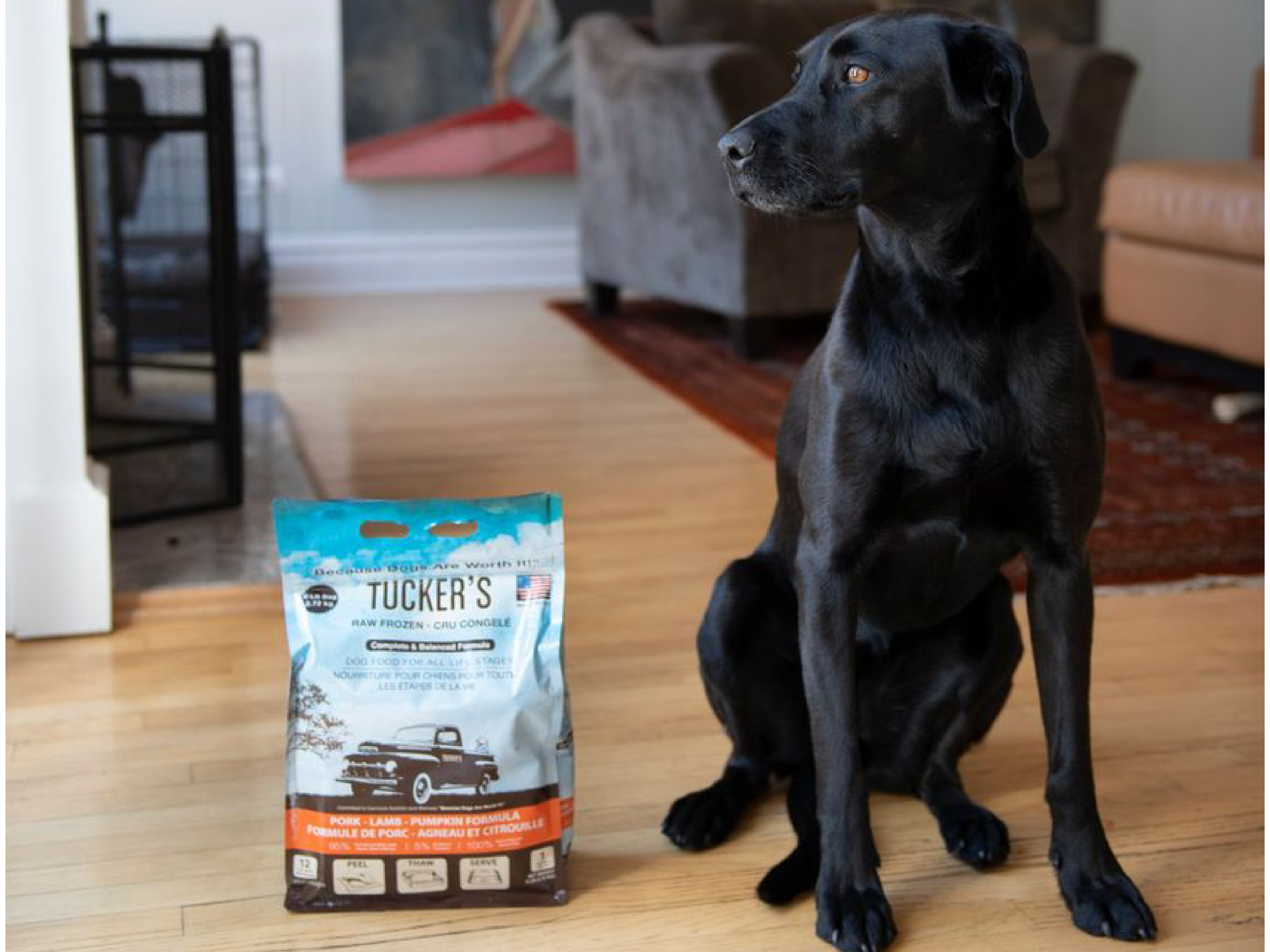 Dog sitting next to a Tucker's product