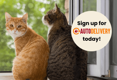 To cats sitting by an open window with text 'Sign up for Autodelivery today!'