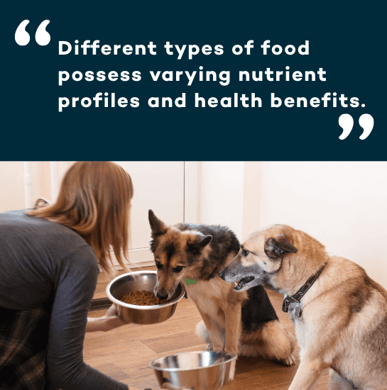 https://cdn11.bigcommerce.com/s-iakwzr7rs7/product_images/uploaded_images/two-dogs-eating-food-desktop.png