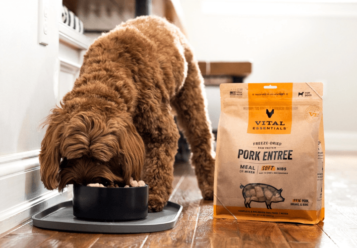 dog sitting holding vital essentials dog food