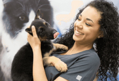 Vet holding a German Shepherd puppy