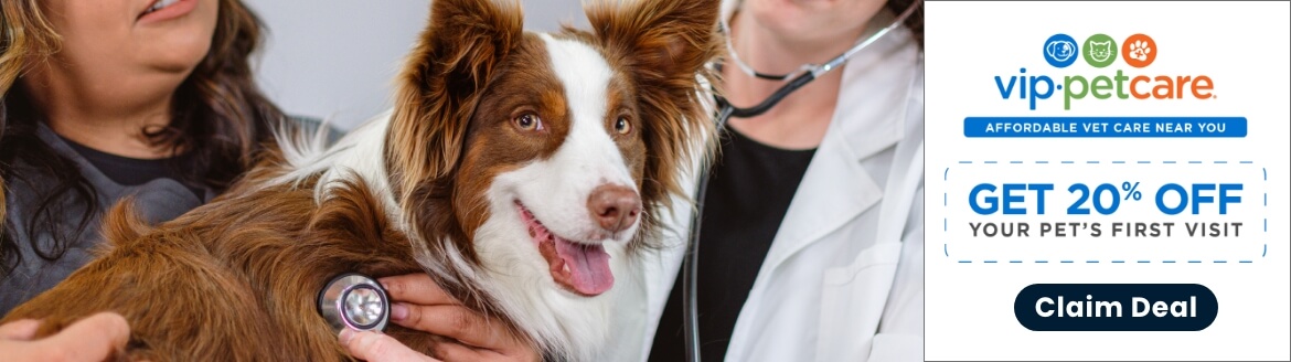 Veterinary Hospital Vip Pet Vet Clinic Veterinary Clinic Vip