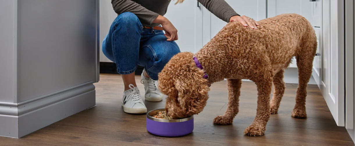 Woman holds up a bag of Whimzees to her Golden Retriever