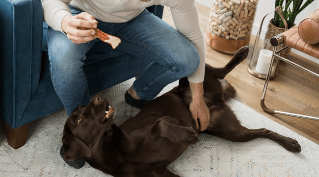 Man plays with his dog, offering Whimzees treat.