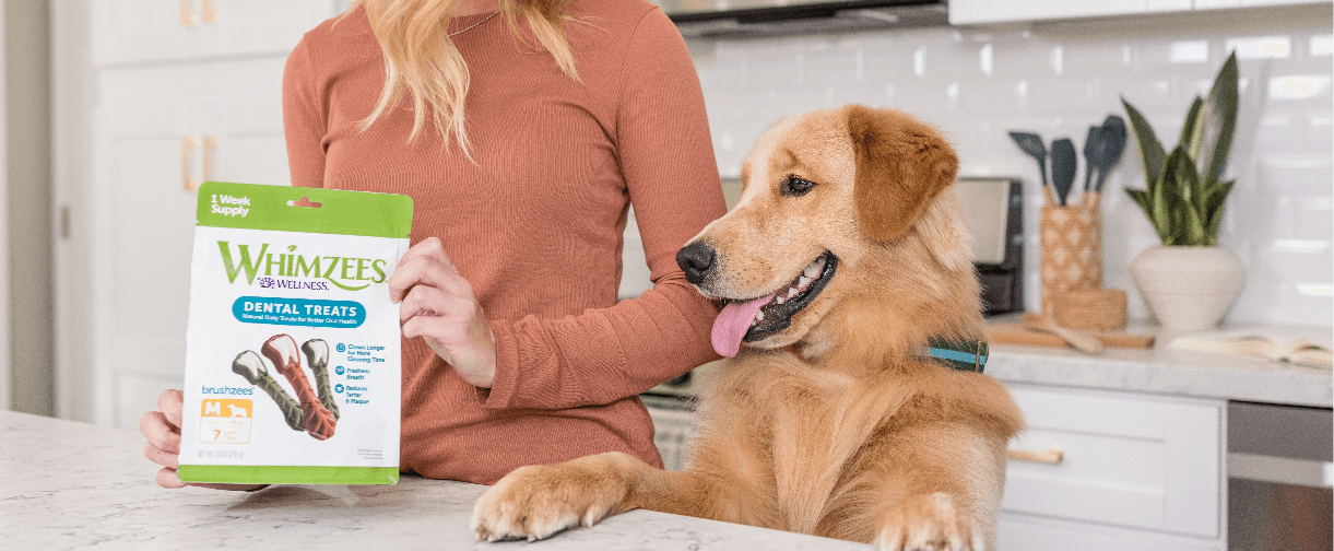 Woman holds up a bag of Whimzees to her Golden Retriever