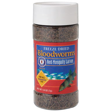 bloodworm fish food online