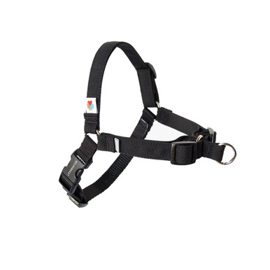 Dog-Harness---Black-241MTNH-