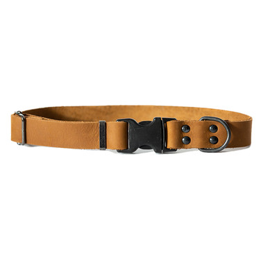 Orange Dog Collar with Dark Green Leather + Multicolor Stitching