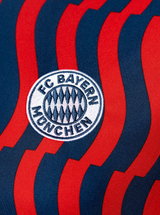 Bayern Munich 21/22 Men's Pre-Match Shirt