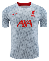 Liverpool 22/23 Men's Gray TRG Strike Shirt