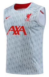 Liverpool 22/23 Men's Gray TRG Strike Tank Top