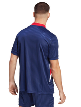 Ajax Men's Icon Shirt